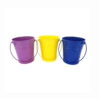 New Style Painted Garden Bucket with Handle